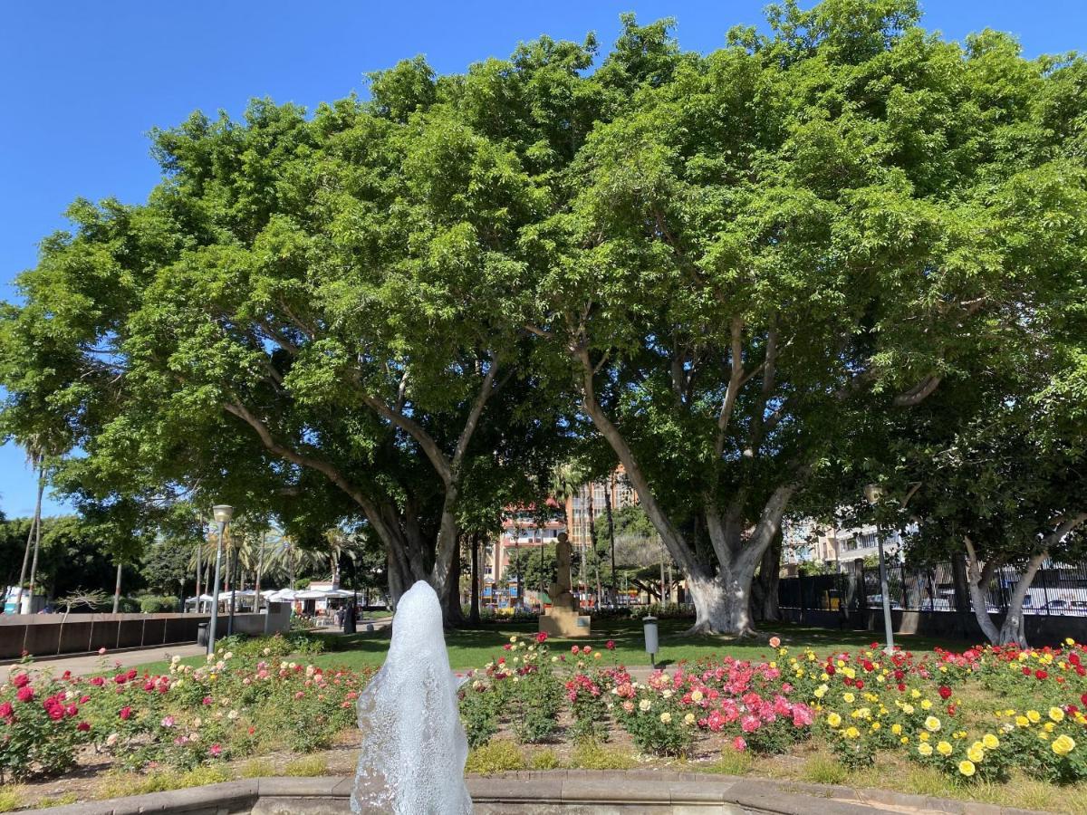 Benecharo By Canariasgetaway Las Palmas de Gran Canaria Eksteriør billede